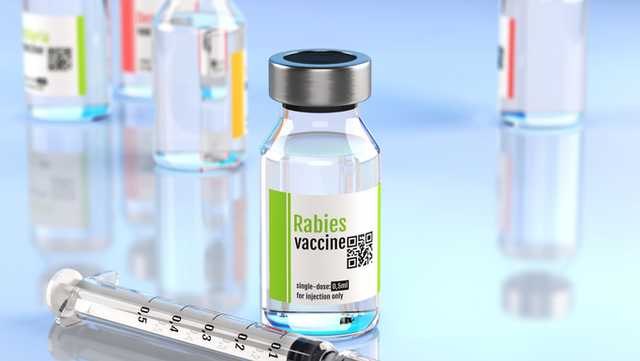Dead fox found in Taneytown tests positive for rabies - Vimarsana News