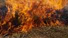 Brush burning fire