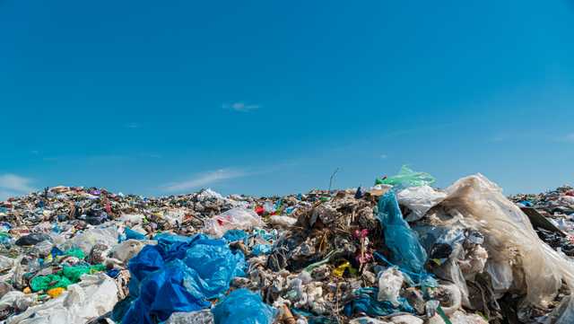 Florida summer camp teaches kids about environment and solid waste - Vimarsana News