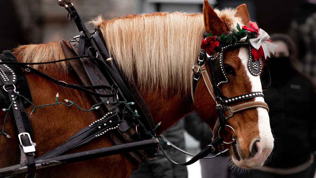 Take a Clydesdale-drawn wagon ride at this scenic Indiana winery