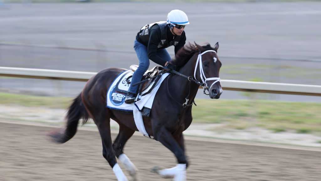 2023 Belmont Stakes overshadowed by horse deaths and bad air quality - Vimarsana News