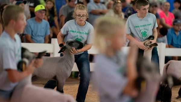 Children participate in a goat showing contest at the Iowa State Fair in Des Moines, Iowa, on August 13, 2023. (Photo by Stefani Reynolds / AFP) (Photo by STEFANI REYNOLDS/AFP via Getty Images)