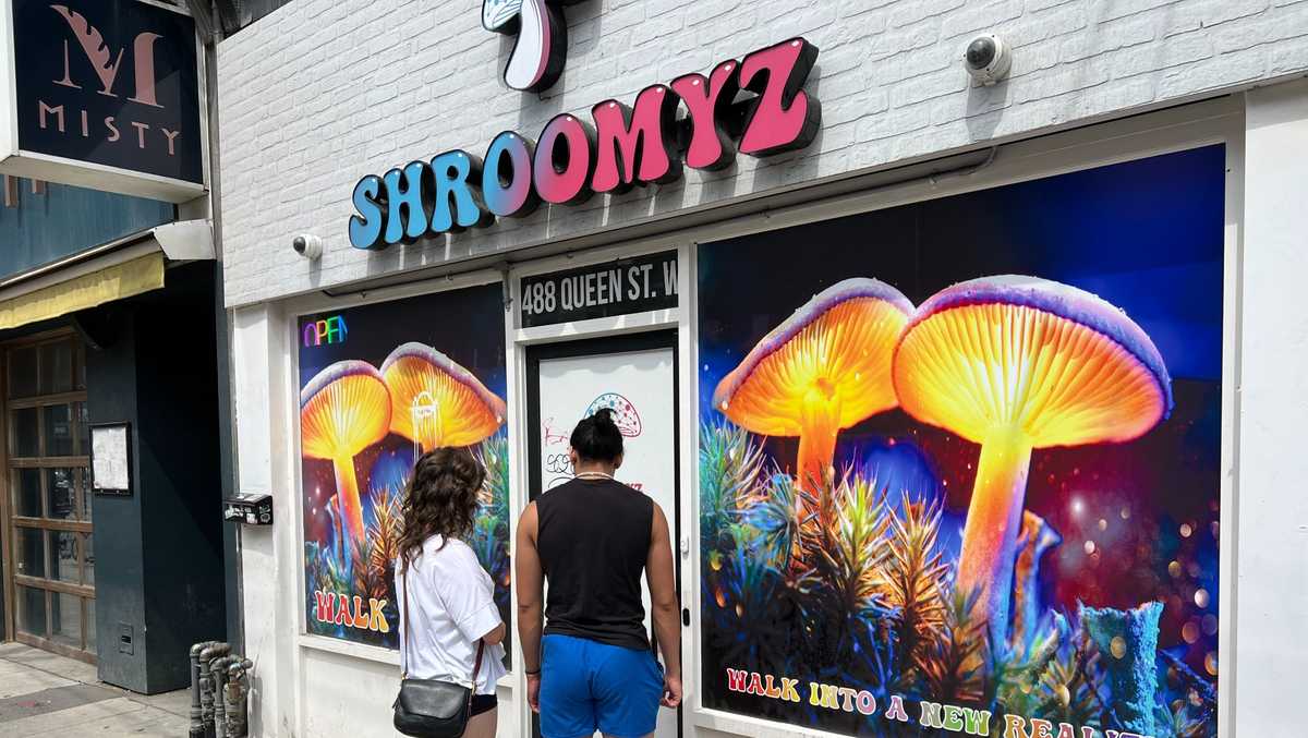 Which psilocybin mushrooms grow wild in my area