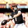 Bengals elevate QB Reid Sinnett from practice squad ahead of MNF game vs.  Rams