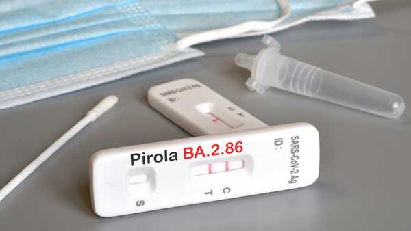 SARSâ€'CoVâ€'2 antigen test kit for self testing with positive result with text Pirola BA.2.86 on grey background. Close-up. Concept for the new Covid 19 Pirola Variant