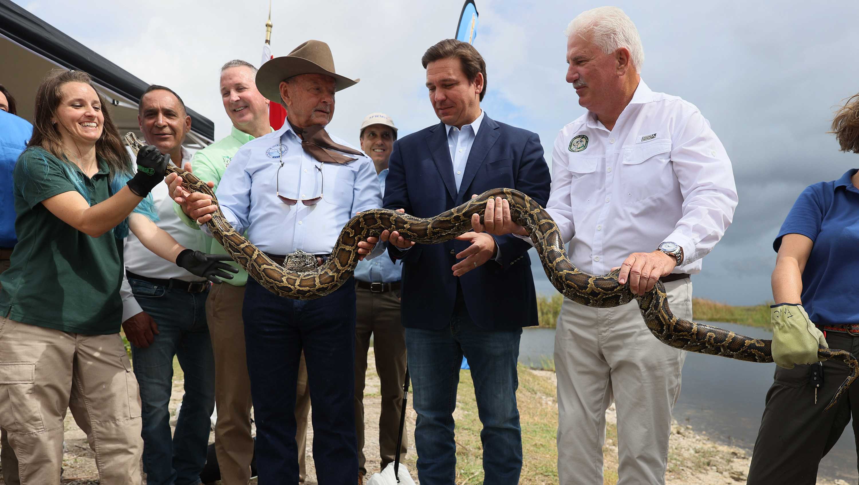 Gov. Ron DeSantis announces Florida Python Challenge - Vimarsana News