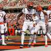 Cincinnati Bengals will officially unveil 'White Bengal' alternate uniforms  for Thursday Night Football - BVM Sports