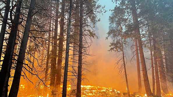 Yosemite National Park fire containment grows, residents return - Vimarsana News