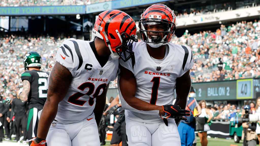 Bengals players call out Titans for cheap shots as Week 12 game ended