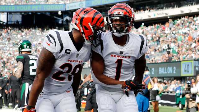 Bengals announce inactive players ahead of Week 12 against Titans - Vimarsana News