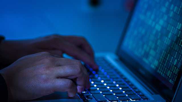 Puppy scam warning: Man paid almost $2K for dog that never showed - Vimarsana News