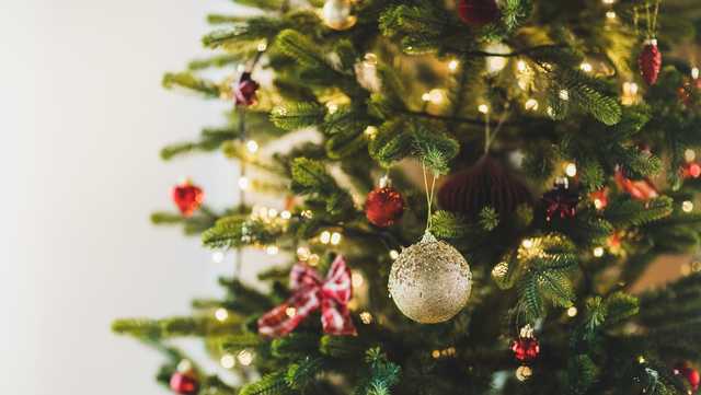 Woman assaulted with Christmas tree in Butler County - Vimarsana News