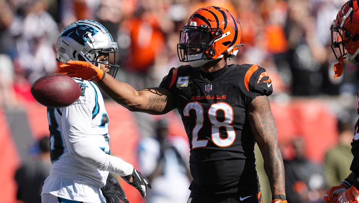 Cincinnati Bengals offensive tackle D'Ante Smith looks on during a News  Photo - Getty Images