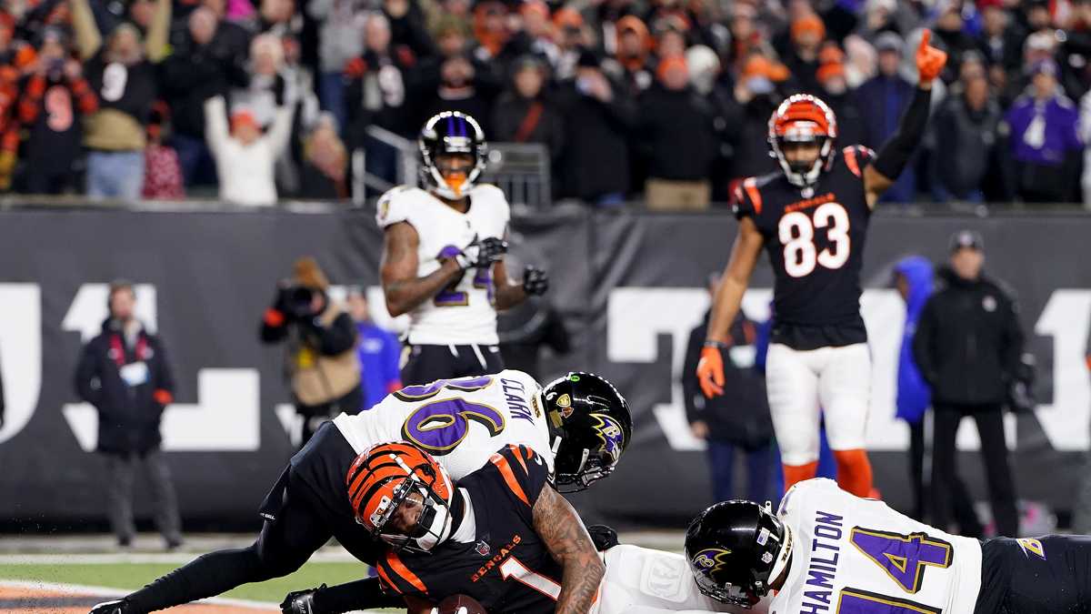 PHOTOS: Baltimore Ravens at Cincinnati Bengals, AFC wild-card