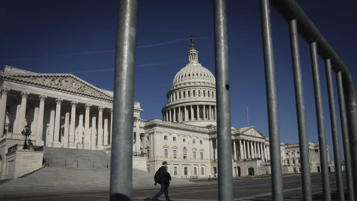 Jennifer Jenkins drops out of Florida Senate race, endorses Army veteran Alex Vindman