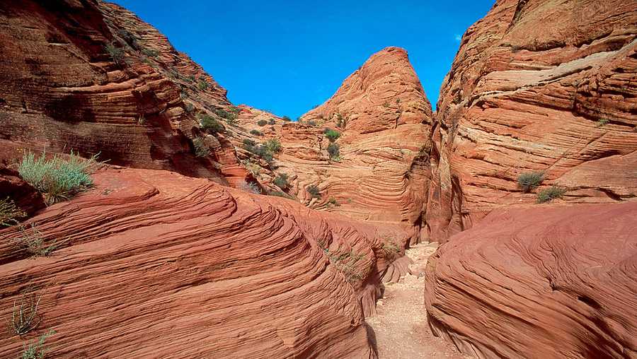 Weathered sandstone formations in the slot canyon of the Pariah Wilderness Area, the Wire Pass Drainage near Kanab, Utah. (Photo by: MyLoupe/Universal Images Group via Getty Images)