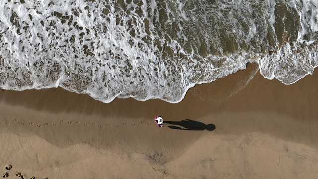 'Aggressive shark behavior' temporarily shuts down California beach - Vimarsana News