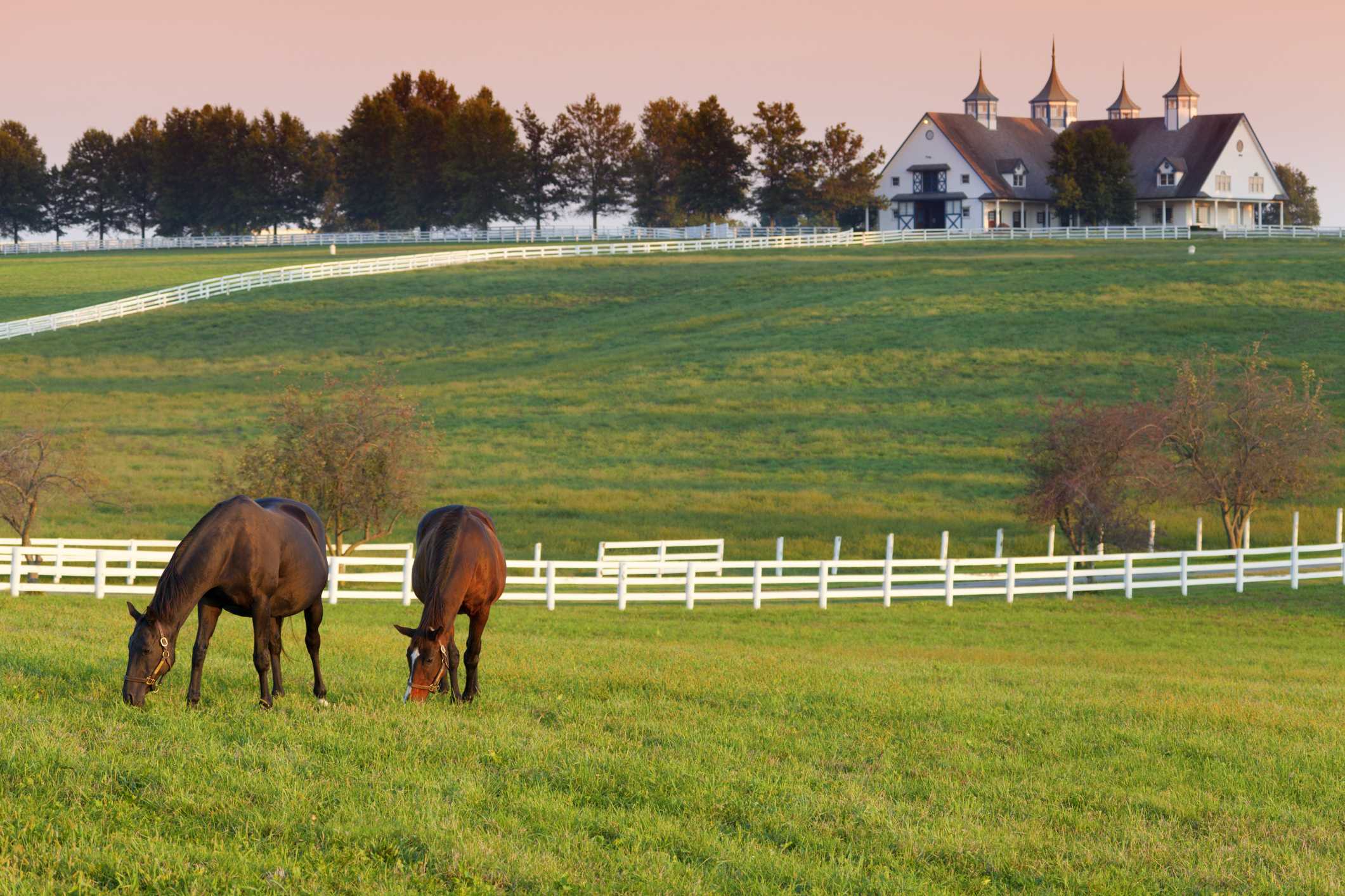 Kentucky Dept Of Agriculture Opens 2024 Artwork Contest   Gettyimages 177000853 6564fd8c4066f 