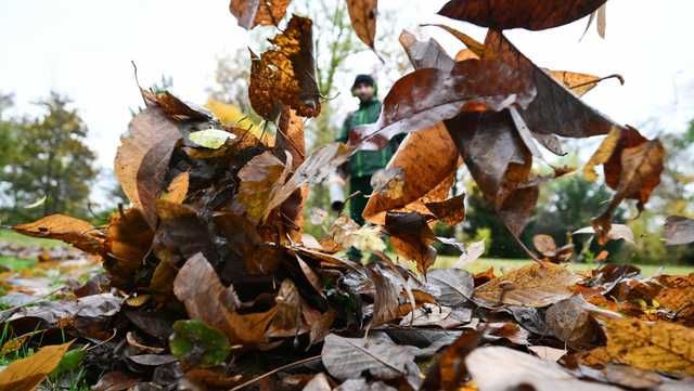 Leaf blower ban: Winter Park voters to make decision in election - Vimarsana News