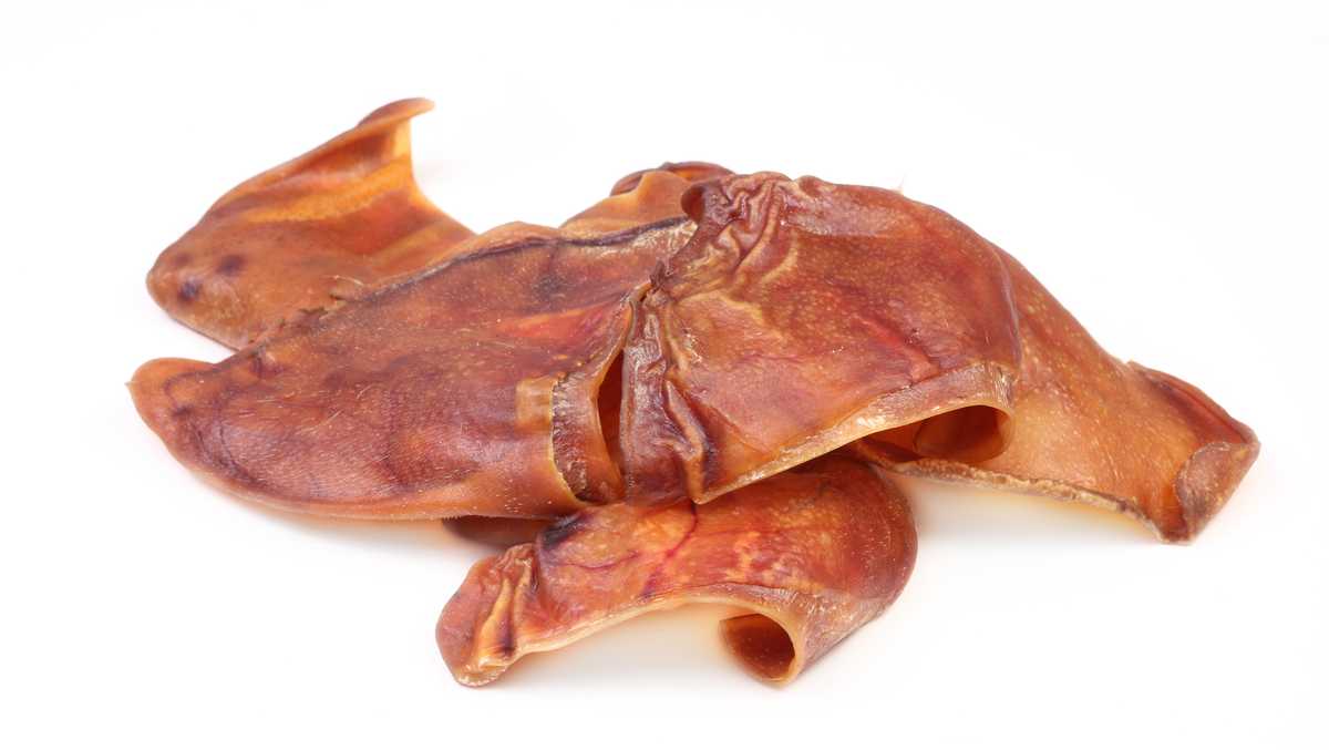 CDC lifts warning to avoid pig ear dog treats after previous salmonella outbreak in 34 states