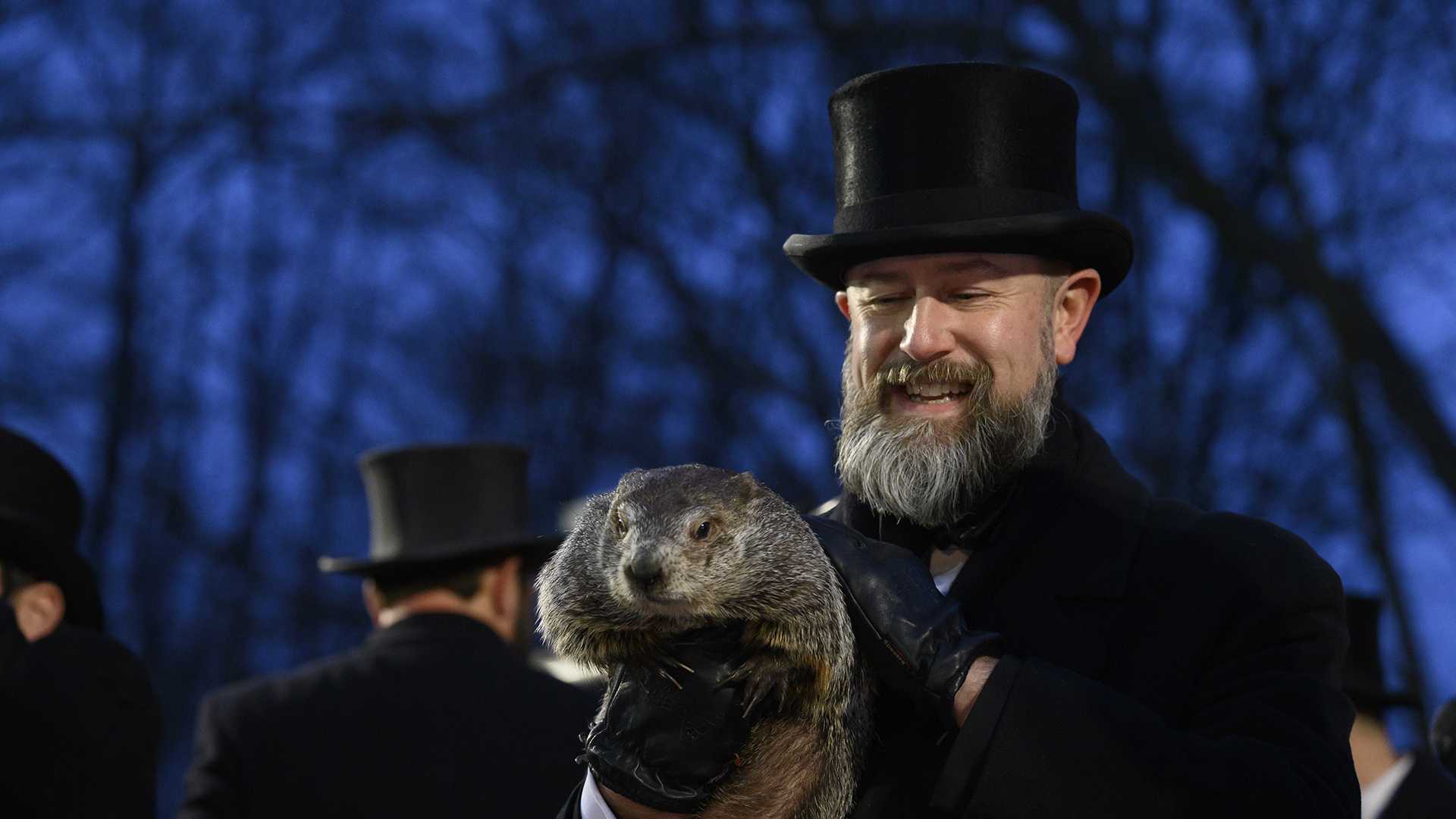 Punxsutawney Phil, famed groundhog, welcomes two new babies - Vimarsana News