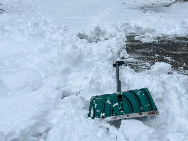 winter chores