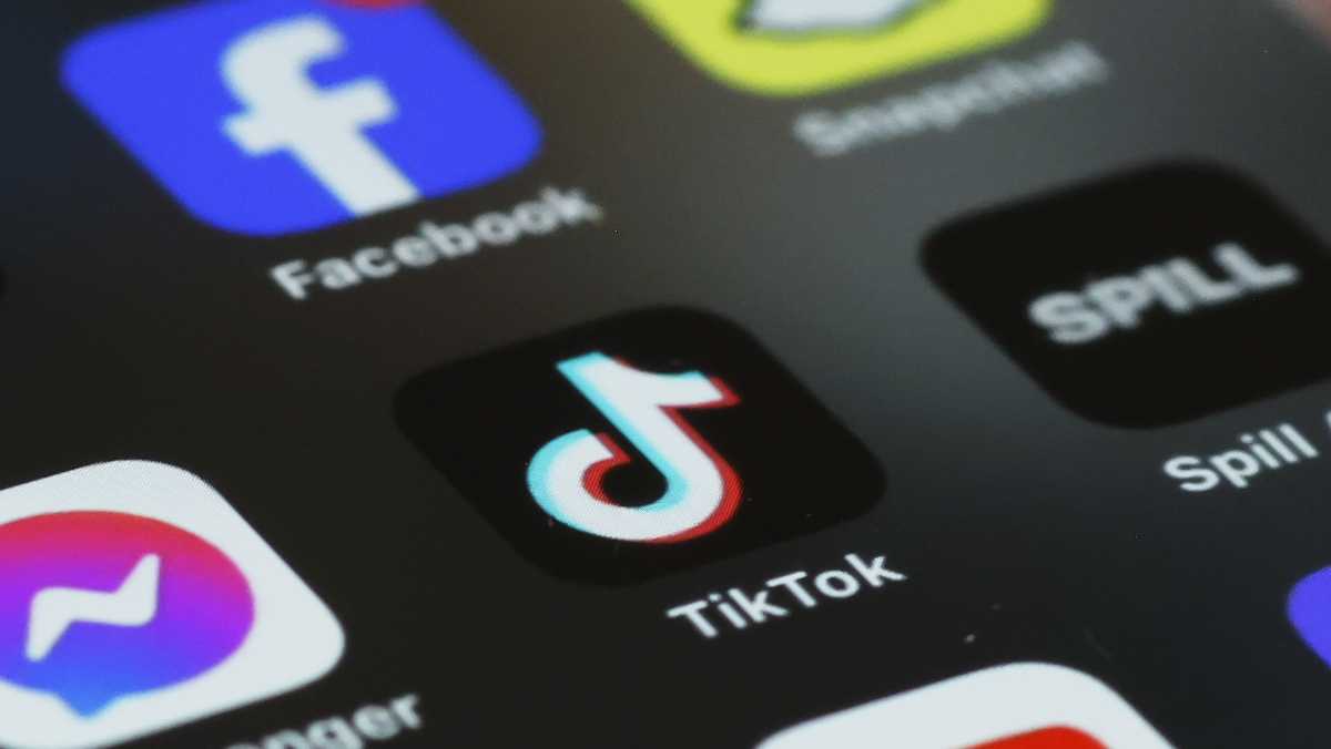 Tiktok Sues Us To Block Prospective App Ban