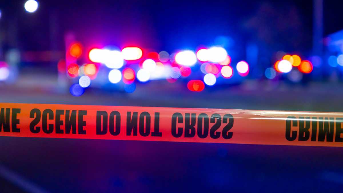 Dog shot, killed after biting Pittsburgh police detective during ...