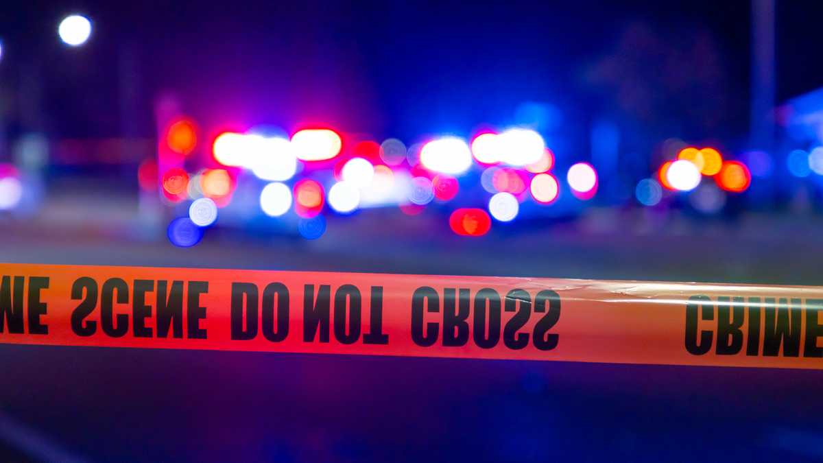 Assault News Image