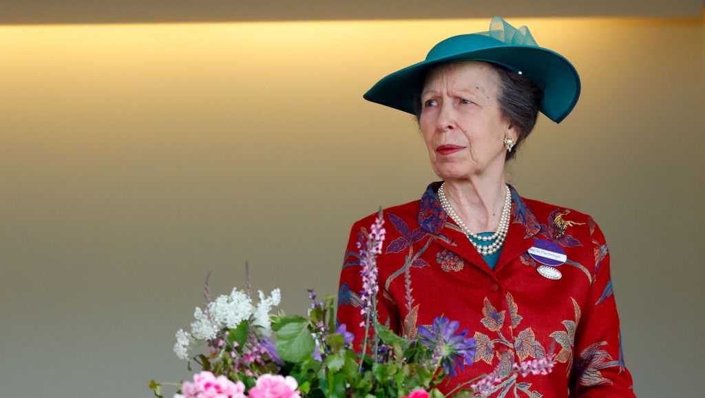 Princess Anne out of hospital after suffering head injury