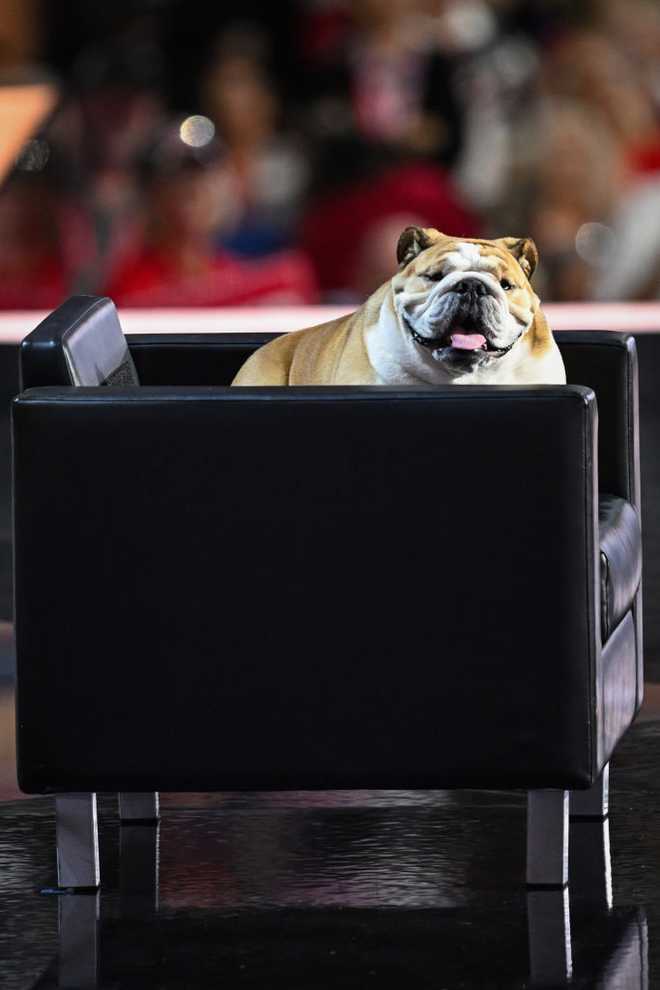 West Virginia Gov. Jim Justice brings bulldog 'Babydog' on stage for ...