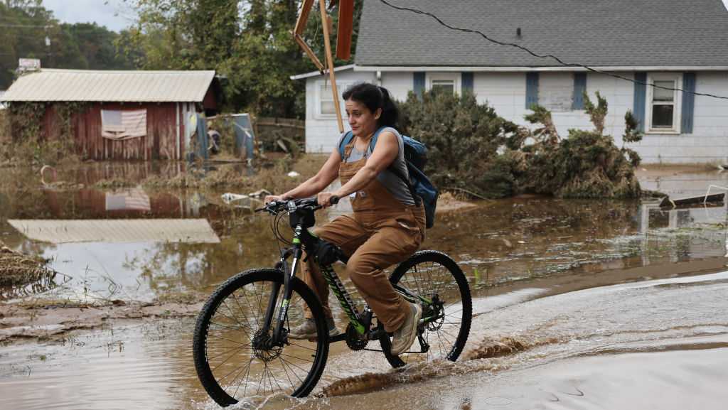 Hurricane Helene spurs North Carolina yellow jacket swarms