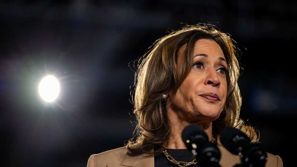 Harris unveils new proposals targeting Black men ahead of 2024 election