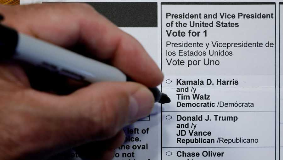 Wisconsin election What's on my ballot?