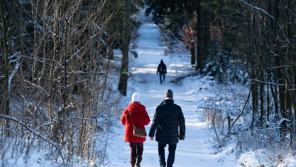 First Day Hikes Iowa DNR encourages Iowans to go hiking on Jan. 1, 2025