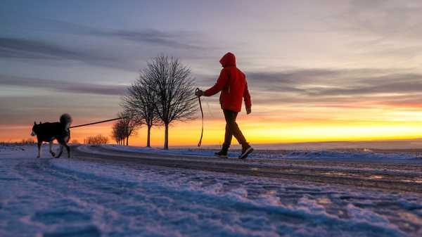 04 January 2025, Baden-Württemberg, Uttenweiler: A man takes his dog for a morning walk in sub-zero temperatures just before sunrise. Photo: Thomas Warnack/dpa (Photo by Thomas Warnack/picture alliance via Getty Images)