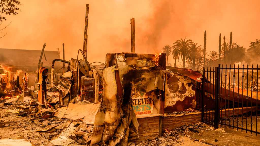 Los Angeles Wildfires Displace Thousands of Pets