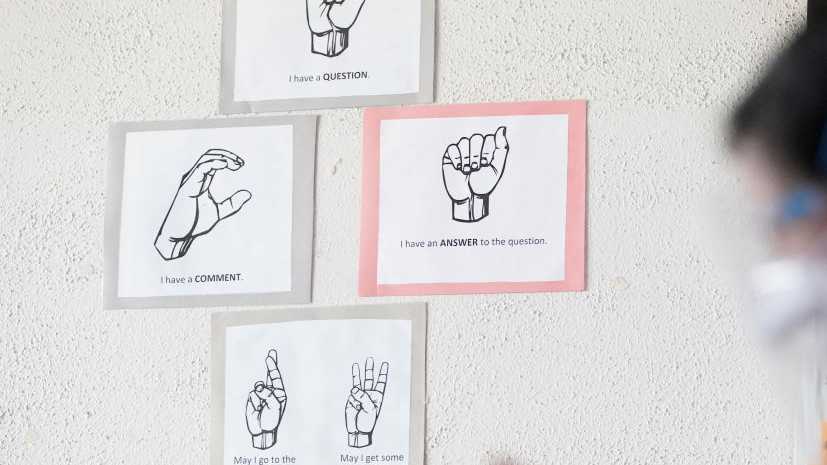 Expert gives advice for teachers, students on sign language in the classroom