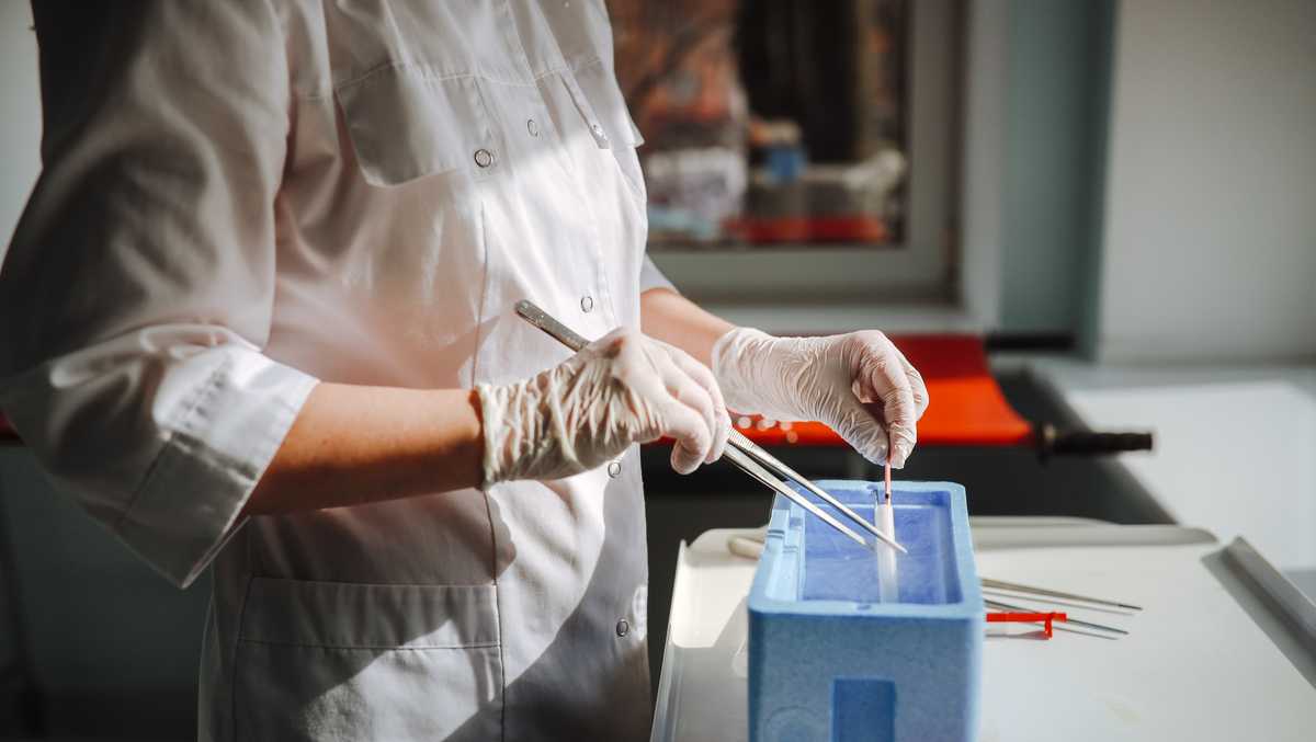 Florida couple sues IVF clinic after DNA test reveals baby isn’t theirs