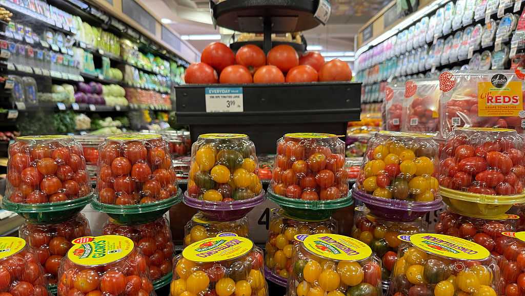 US Imposes 17.09% Tariff on Mexican Tomatoes