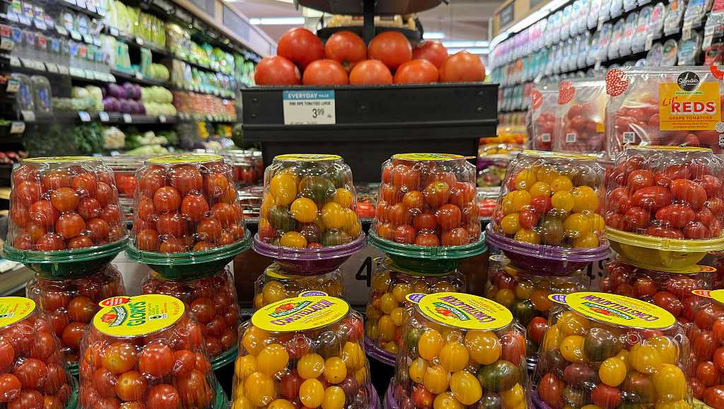 US Imposes 17.09% Tariff on Mexican Tomatoes
