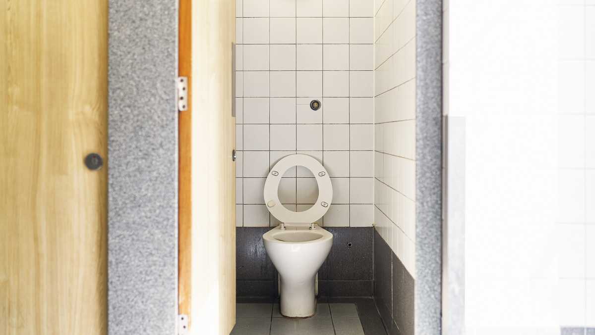elf bar vape uk Just A Drop Odor Eliminator No Smoking Or Vaping In This Toilet Sign Water  Will It Explode