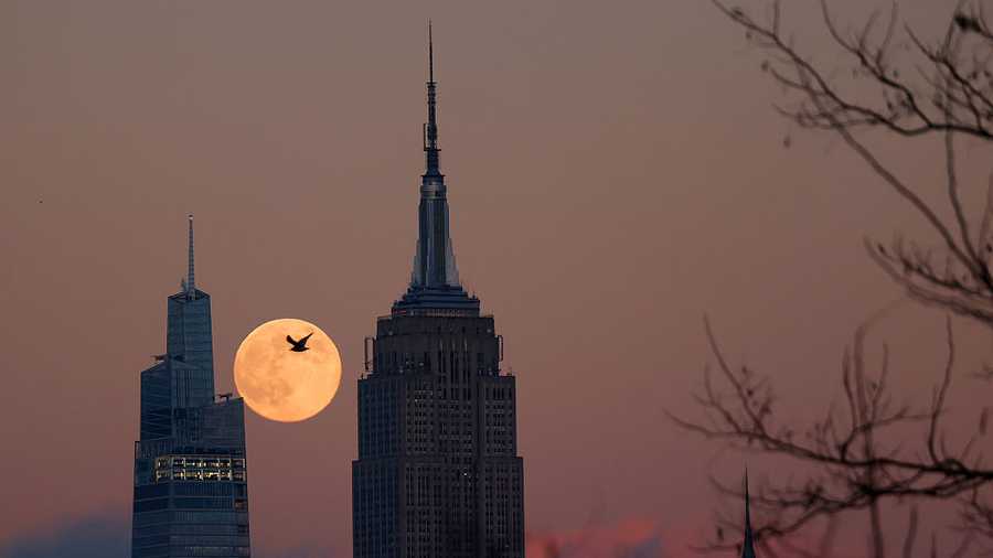 Photos show the last supermoon of the year shining in December skies - WJCL