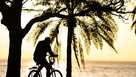 Fitness And Exercise At Sunrise