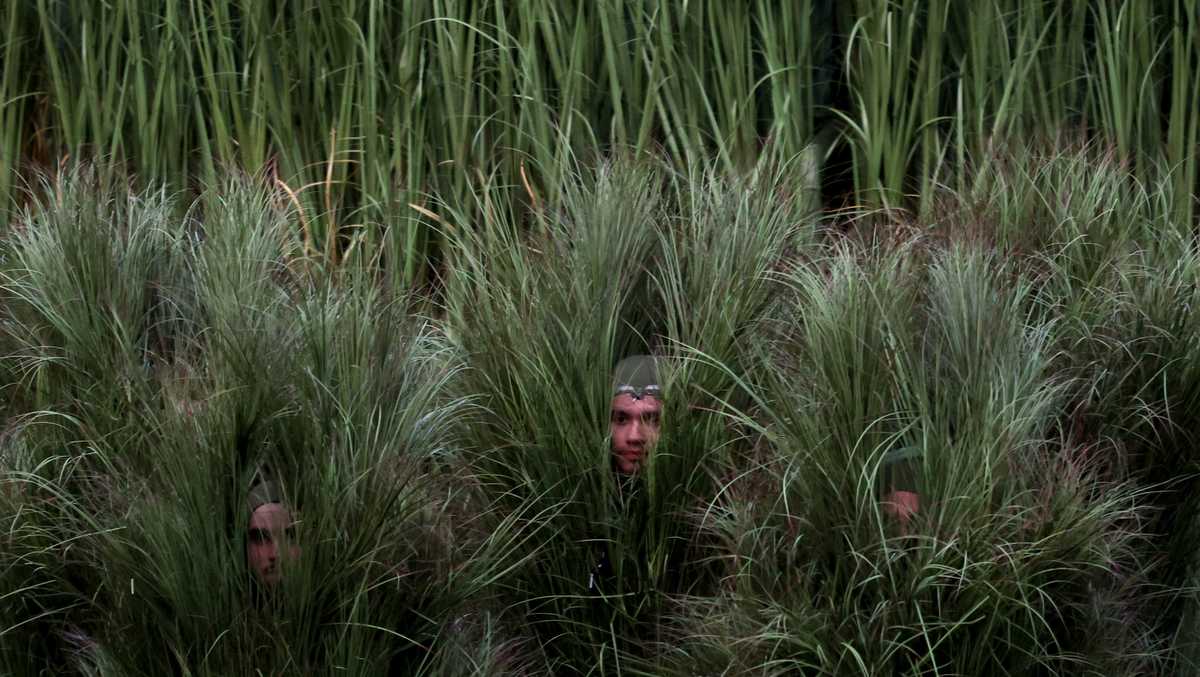 'It was such a joy': Performers dressed in bushes during Bad Bunny's halftime show share experience