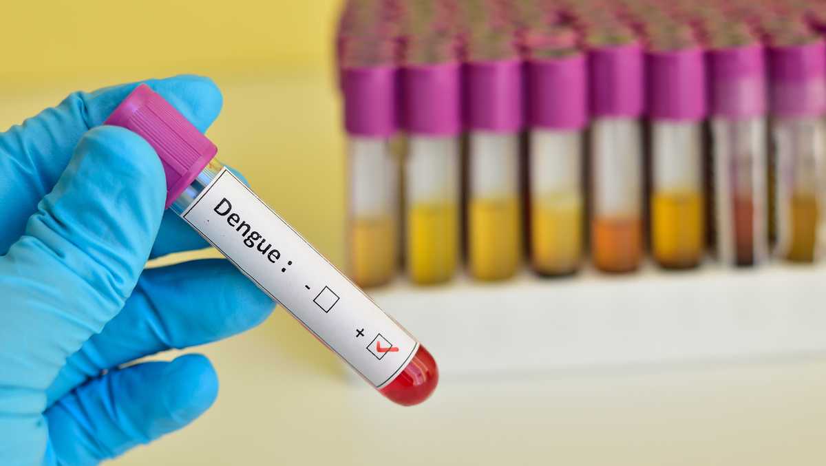 Dengue cases across South Florida WPBF West Palm Beach Dengue cases across South Florida WPBF West Palm Beach