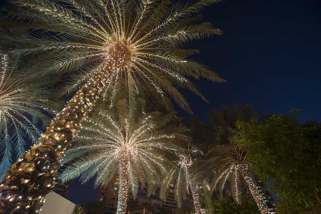 christmas background palm tree