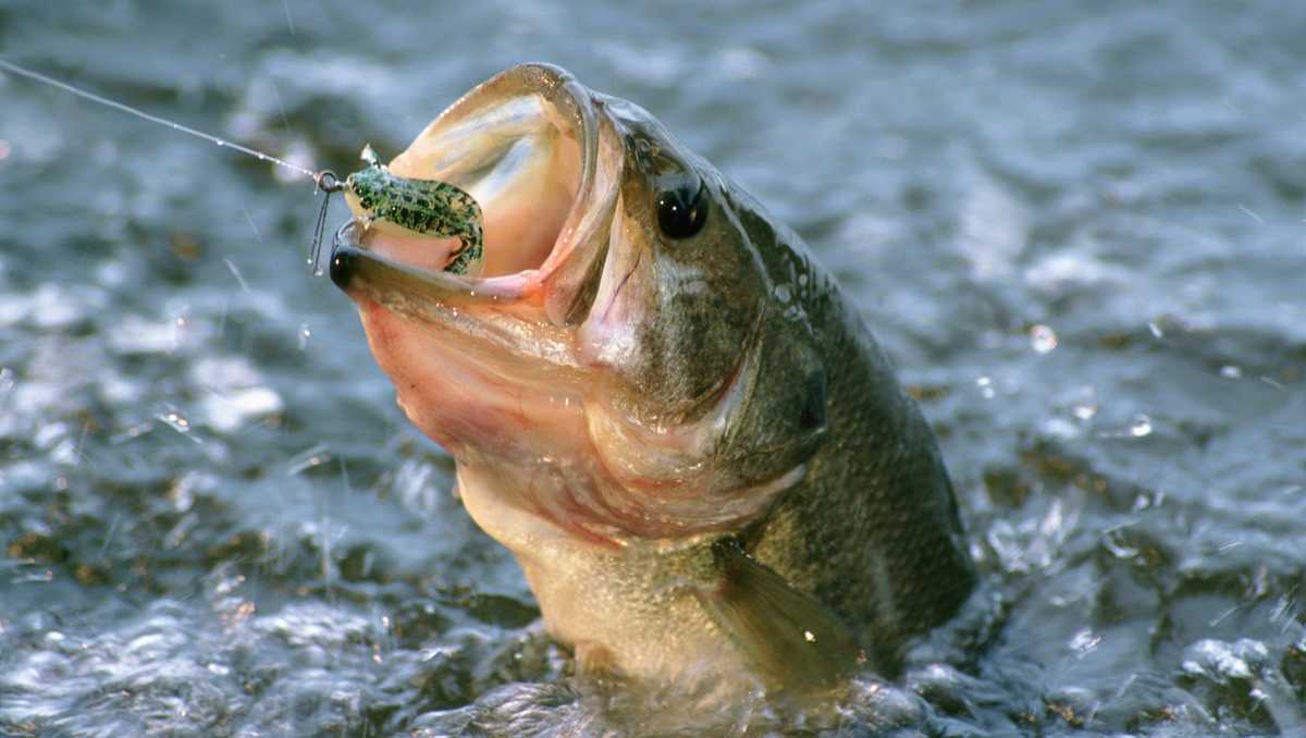 When is free fishing day in North Carolina, South Carolina?
