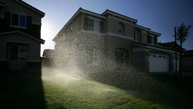 Keeping your lawn green in the heat - Vimarsana News