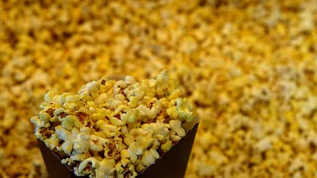 Watch the trailers for movies hitting the big screen in February - Vimarsana News